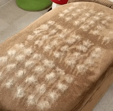 Pets Hair Remover Gloves Easy To Use (Buy 1 Get 1 Free)